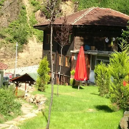 Andon Yayla